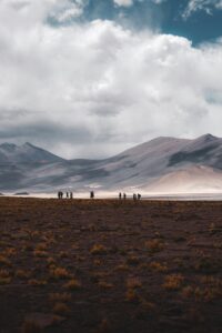 pexels willianjusten 30807411